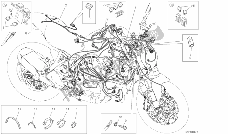 Tutte le parti per il Cablaggio Elettrico del Ducati Monster 821 USA 2020